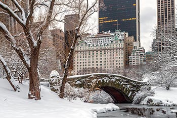Stay at the famous Plaza Hotel from Home Alone 2
