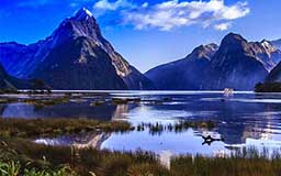 New Zealand