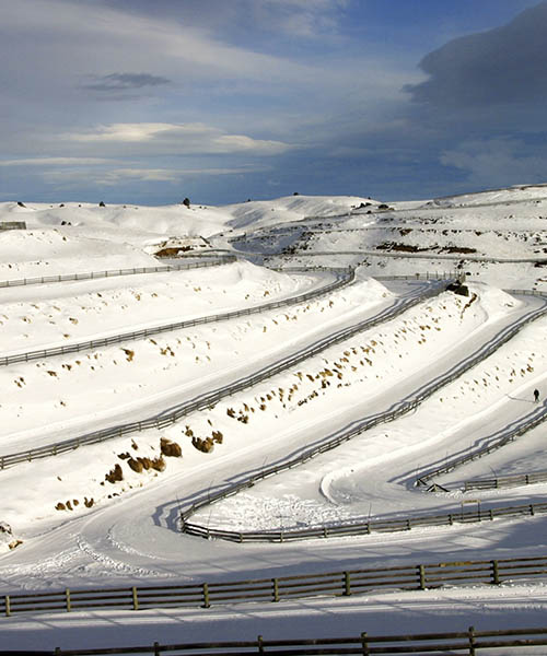 Snow Farm