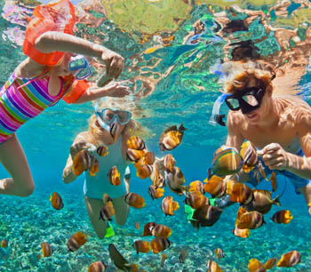 Go Snorkelling on the Coral Coast